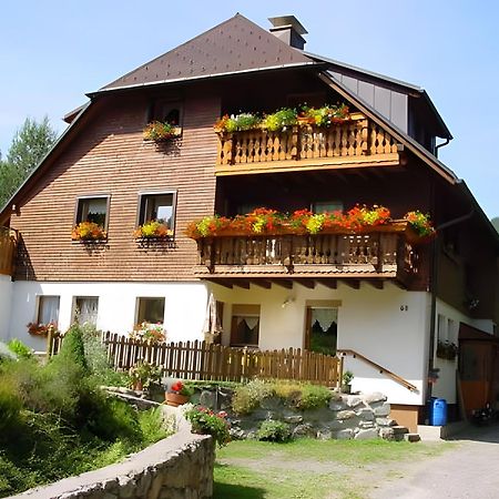 Апартаменты Haus Maria Тодтнау Экстерьер фото