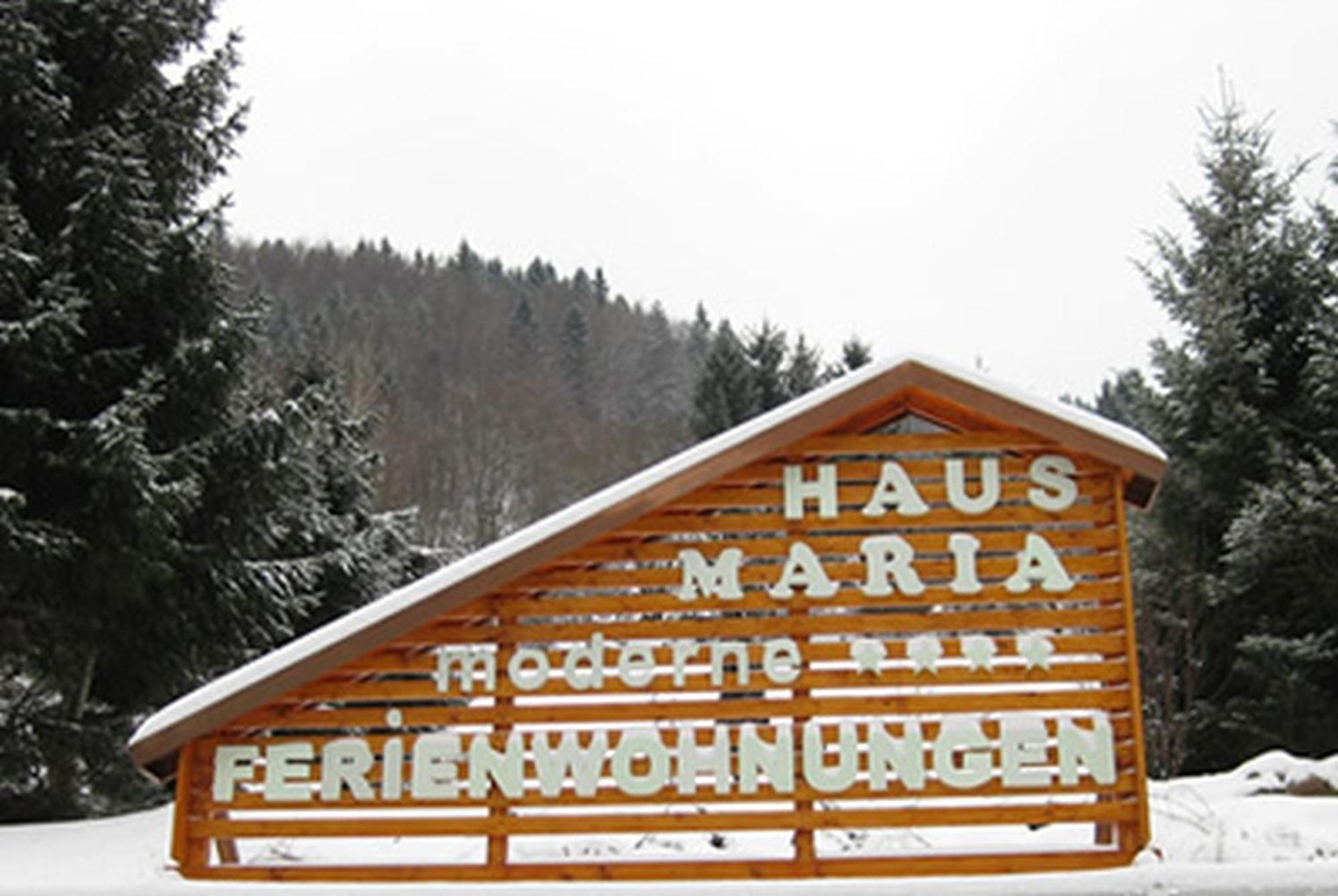 Апартаменты Haus Maria Тодтнау Экстерьер фото