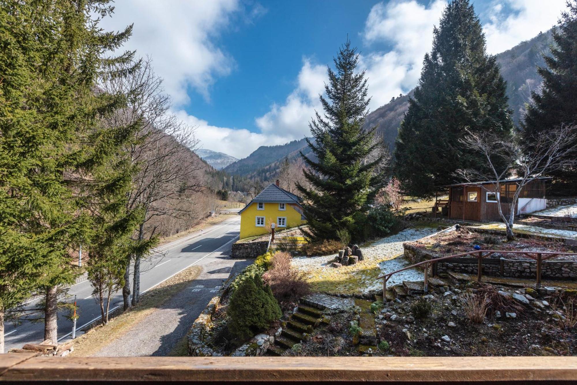 Апартаменты Haus Maria Тодтнау Экстерьер фото