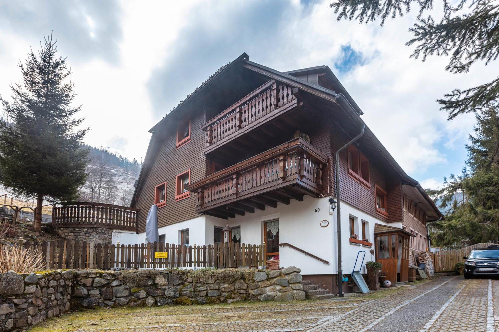 Апартаменты Haus Maria Тодтнау Экстерьер фото